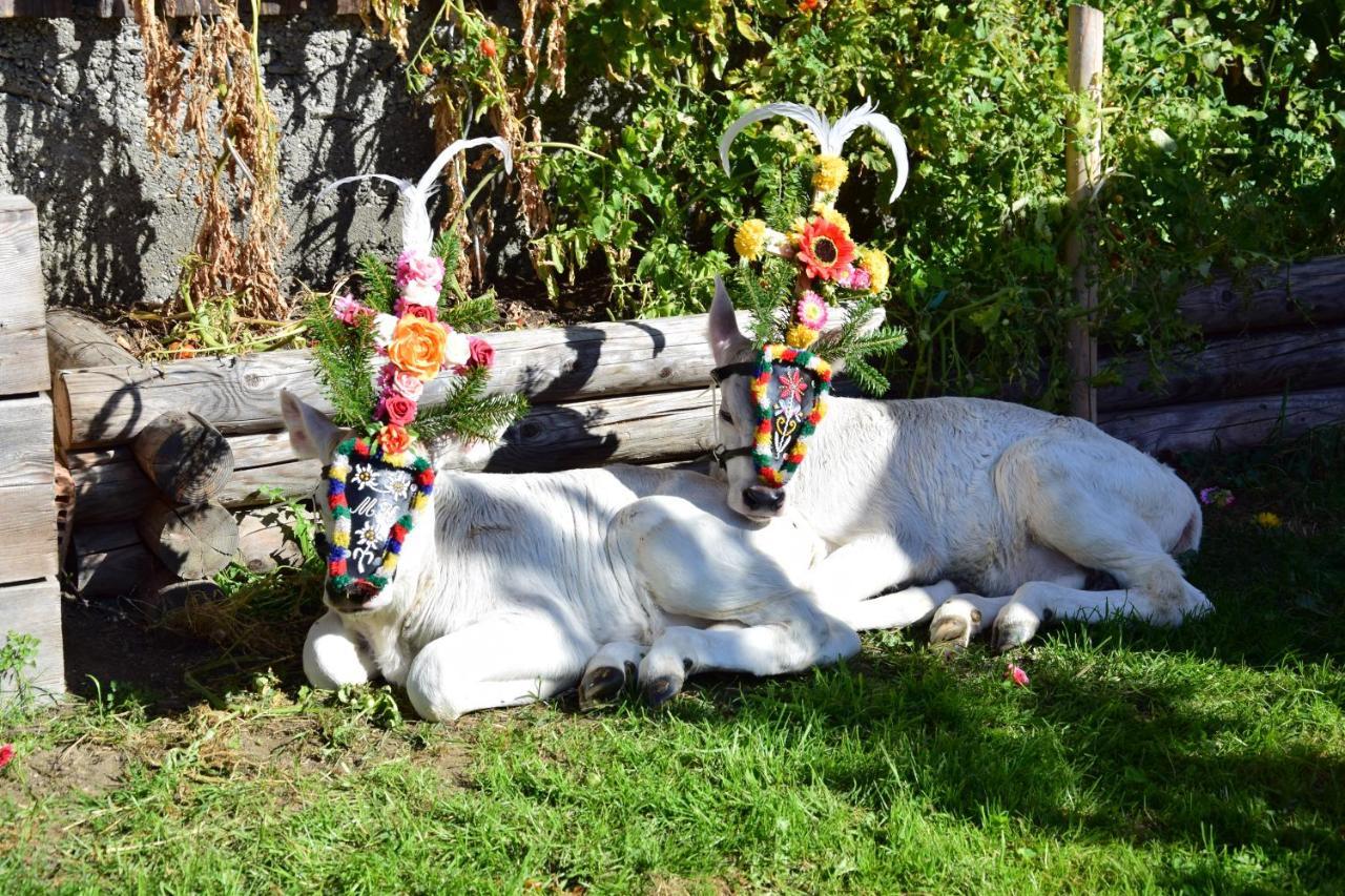 Ferienhaus Oberhuben Fuegenberg Luaran gambar