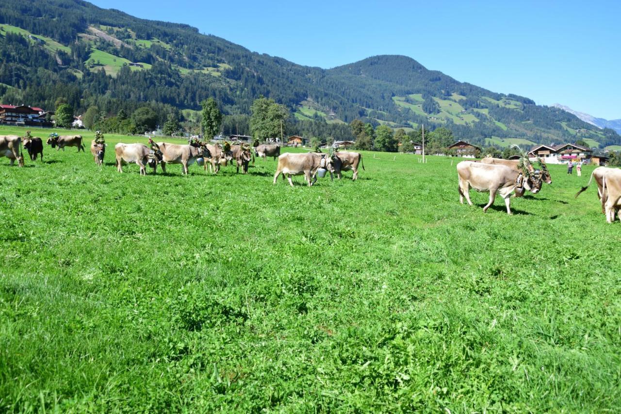 Ferienhaus Oberhuben Fuegenberg Luaran gambar
